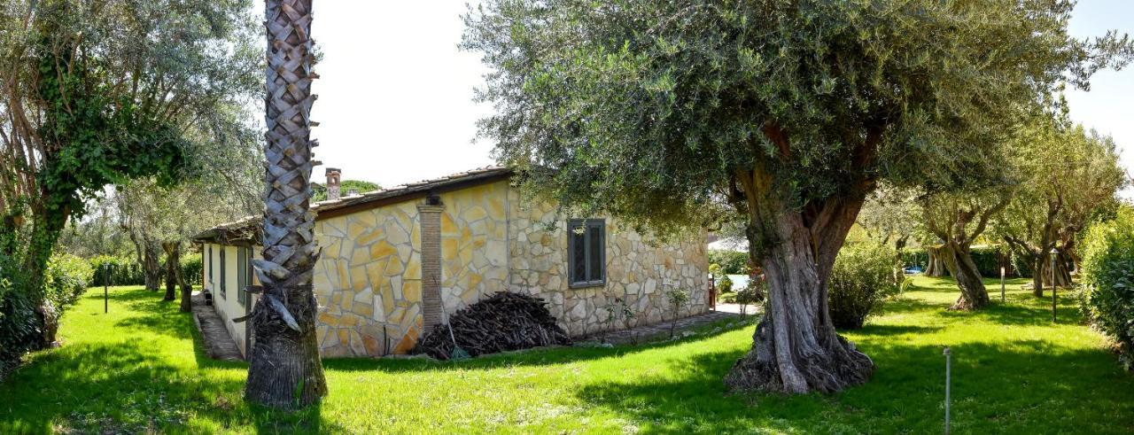 Villa Di Lago Albano - Castel Gandolfo 阿尔巴诺拉齐亚莱 外观 照片